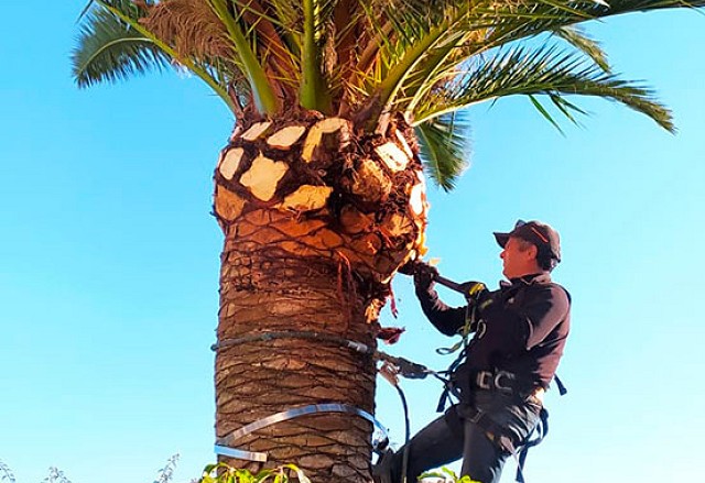 Foto trabajo 5