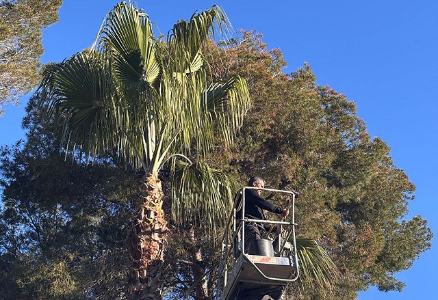Foto trabajo 1