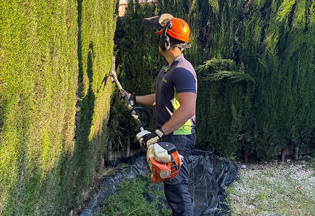 Foto trabajo 6