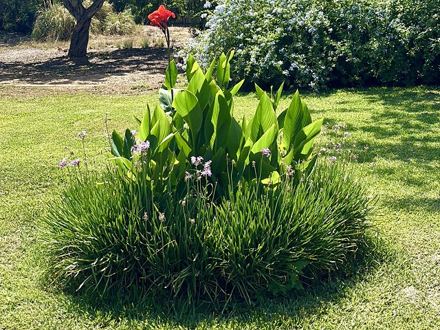 Foto 2 1