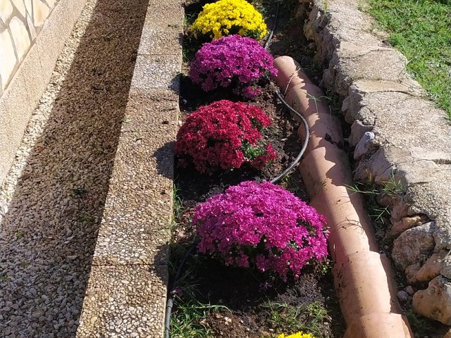 Foto 1 2