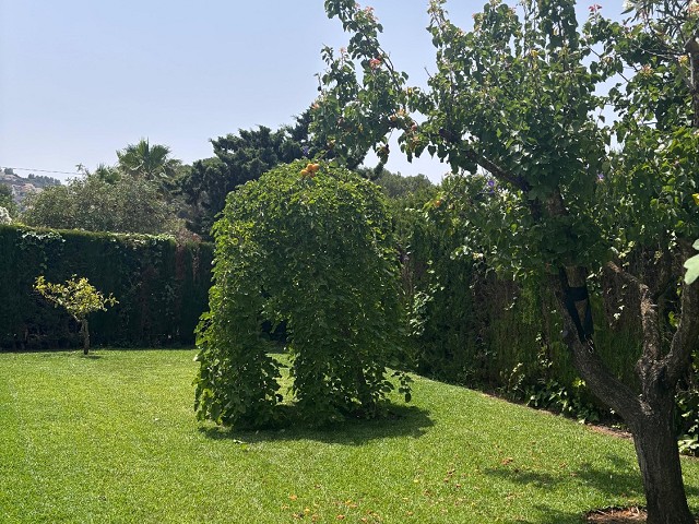 Foto 1 1
