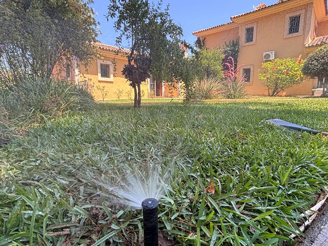 Foto 1 1
