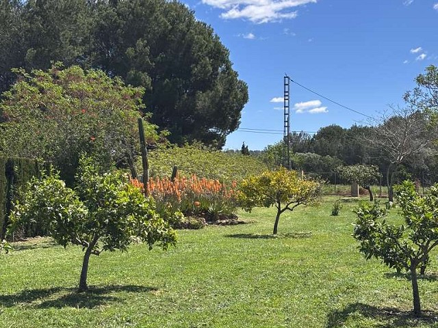 Foto 2 4