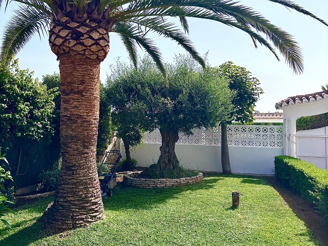 Foto 1 3