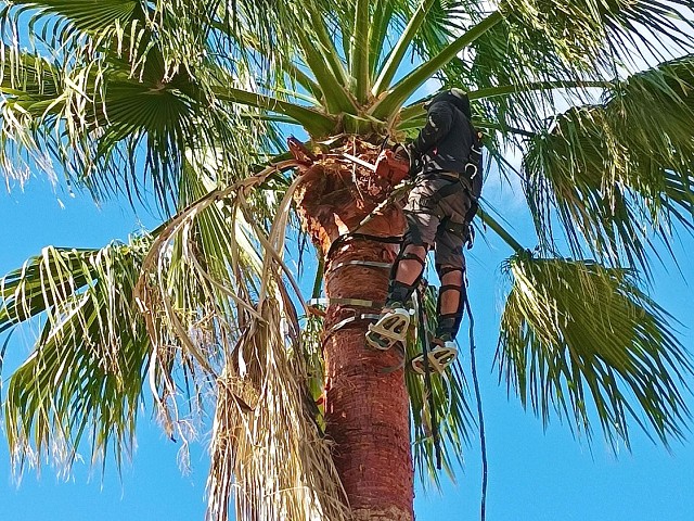Foto 1 5