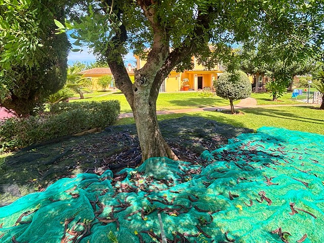 Foto 1 4