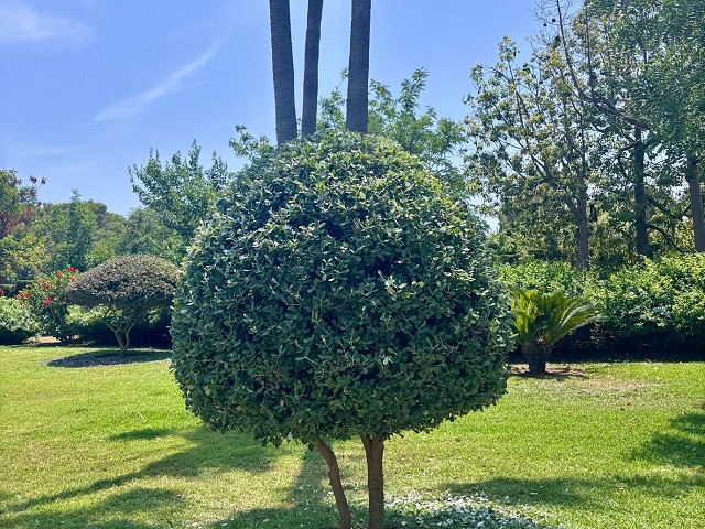 Foto 1 4
