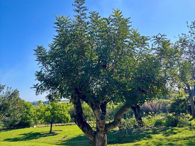 Foto 2 2