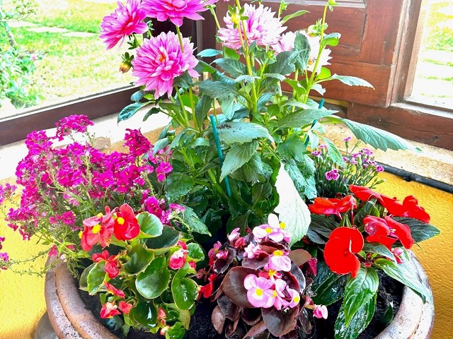 Foto 2 3