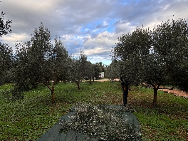 Foto 2 4