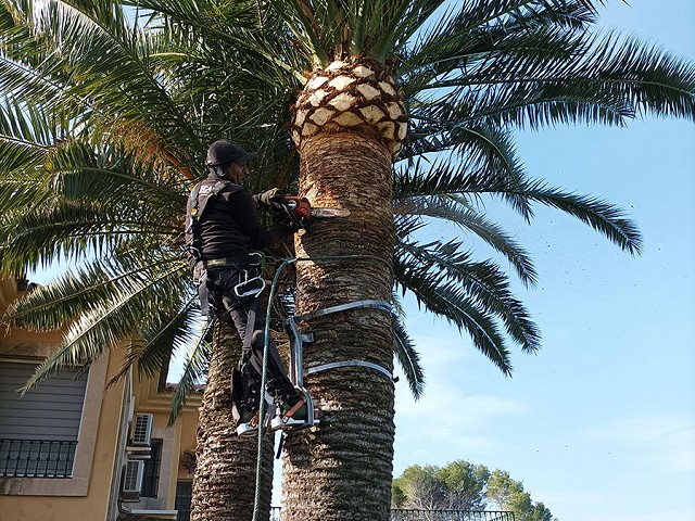 Foto 1 3