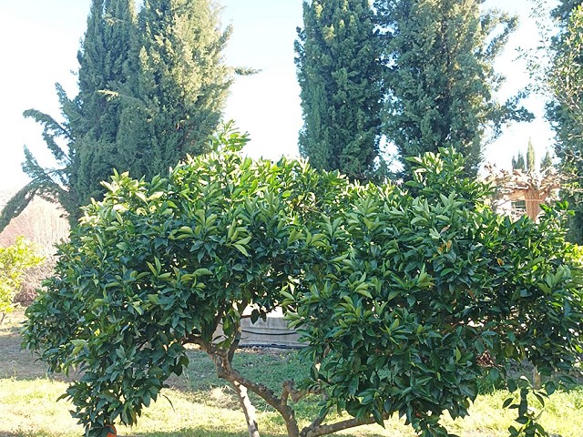 Foto 2 3