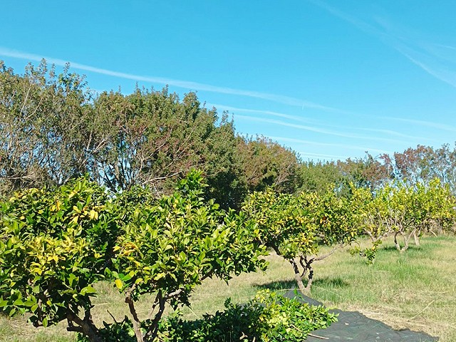 Foto 1 4