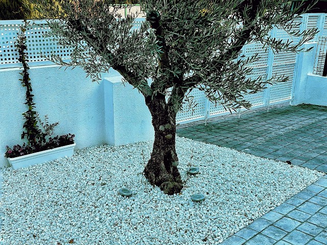 Foto blog 1
