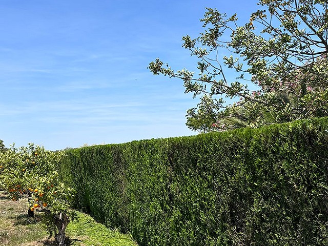 Foto 1 5