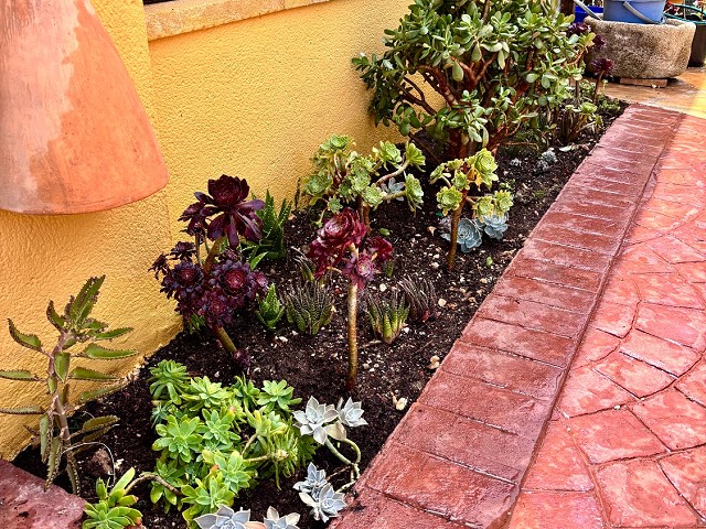 Foto 1 4