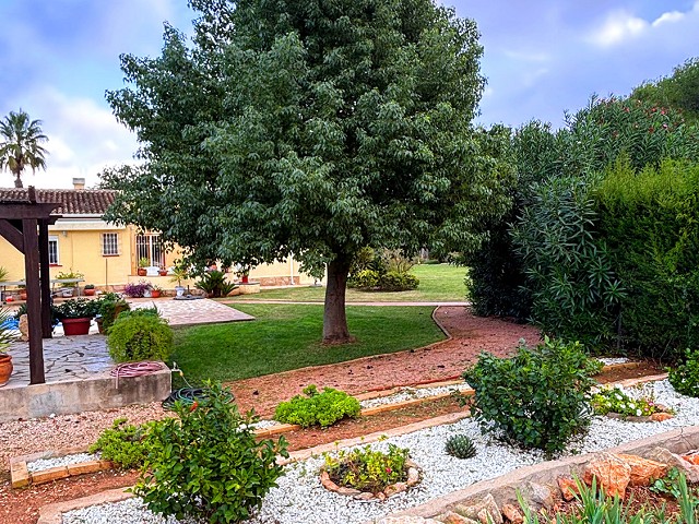 Foto 1 1