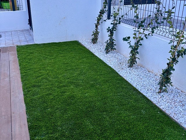 Foto galería 5